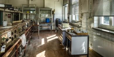 Ene, mene, MUH: Das riesige (Rinds-)Lederwerk (1) 