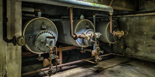 Von Füchsen, Eisvögeln und Zerfall: Vom Sanatorium zur Kunsthalle? (3) 