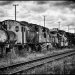 04 20251025101105 DJ 0146 HDR