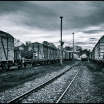 19 20251025095930 DJ 0066 HDR