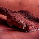 13 20220409100954 DJ 0134 HDR