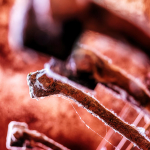 20 20230624141040 DJ 0127 HDR