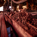 22 20220409092225 DJ 0024 HDR