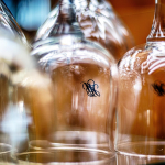 15 20250719114610 DJ 0313 HDR