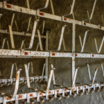 22 20241026140904 DJ 0011 HDR