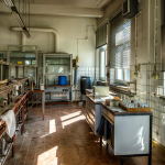 07 20250811100704 DJ 0006 HDR