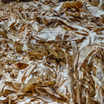 15 20250811110202 DJ 0326 HDR