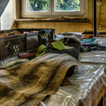 21 20250811101108 DJ 0021 HDR