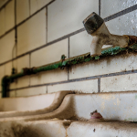 09 20220723111547 DJ 0161 HDR