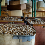 07 20250820141549 DJ 0077 HDR