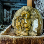 25 20250825114319 DJ 0441 HDR