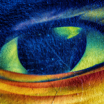 14 20250920130442 DJ 0406 HDR