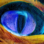 19 20250920120105 DJ 0321 HDR