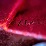 12 20221105114301 DJ 0220 HDR