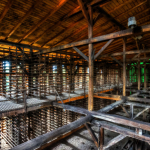 09 20250706123552 DJ 0111 HDR