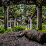 20190610133658 DJ 0017 HDR