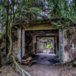 20190610134106 DJ 0037 HDR