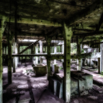 20200711140030 DJ 0170 HDR