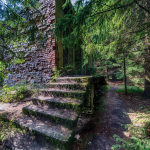 20200815150602 DJ 0112 HDR
