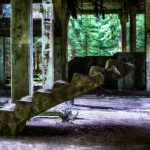20200815161737 DJ 0333 HDR